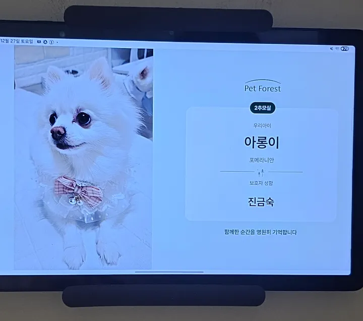 아롱이 보호자 후기 이미지